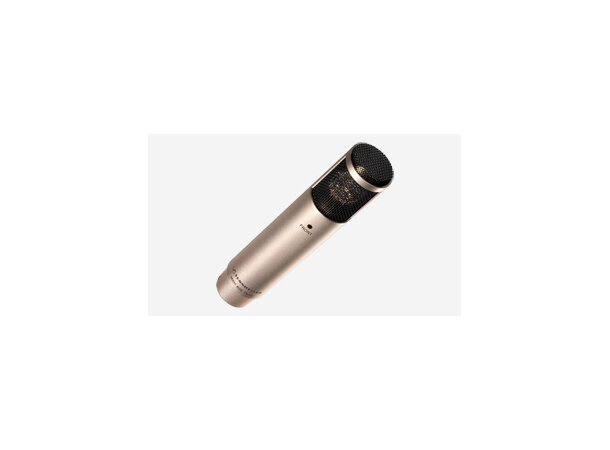 Sennheiser MKH 800 TWIN_NI 